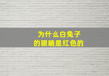 为什么白兔子的眼睛是红色的