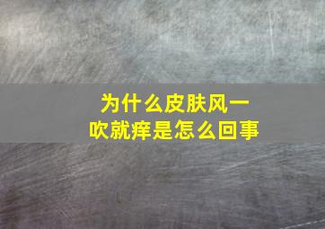 为什么皮肤风一吹就痒是怎么回事