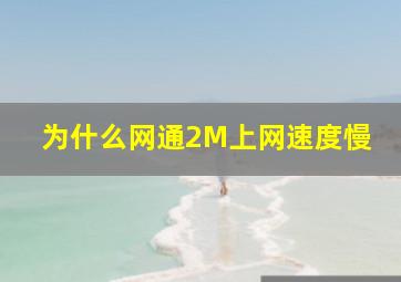 为什么网通2M上网速度慢