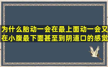 为什么胎动一会在最上面动一会又在小腹最下面甚至到阴道口的感觉