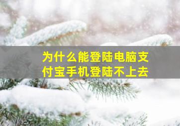 为什么能登陆电脑支付宝手机登陆不上去