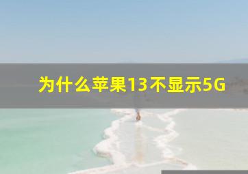 为什么苹果13不显示5G