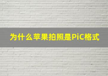 为什么苹果拍照是PiC格式