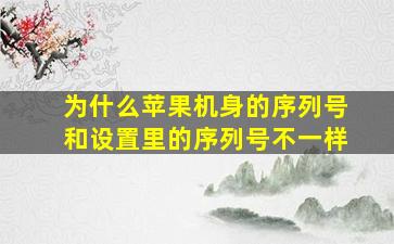 为什么苹果机身的序列号和设置里的序列号不一样