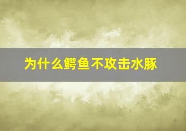 为什么鳄鱼不攻击水豚