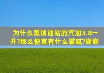 为什么黑加油站的汽油3.8一升?那么便宜,有什么猫腻?谢谢