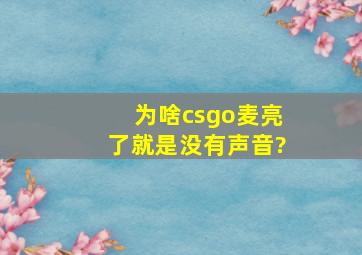 为啥《csgo》麦亮了就是没有声音?