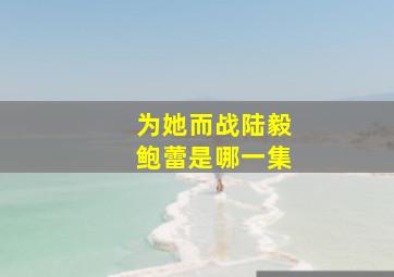 为她而战陆毅鲍蕾是哪一集