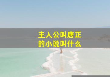 主人公叫唐正的小说叫什么