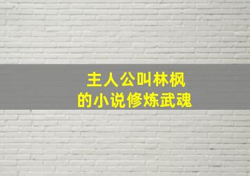 主人公叫林枫的小说修炼武魂