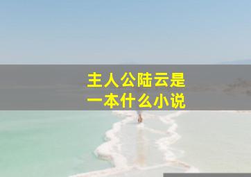 主人公陆云是一本什么小说