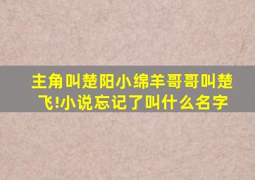 主角叫楚阳小绵羊哥哥叫楚飞!小说忘记了叫什么名字