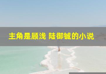 主角是顾浅 陆御铖的小说