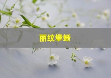 丽纹攀蜥