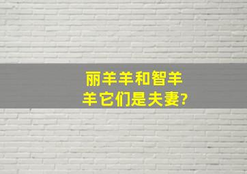 丽羊羊和智羊羊它们是夫妻?