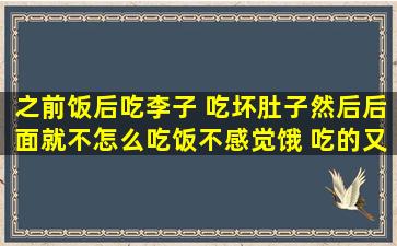 之前饭后吃李子 吃坏肚子然后后面就不怎么吃饭不感觉饿 吃的又少