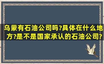 乌蒙有石油公司吗?具体在什么地方?是不是国家承认的石油公司?急急...