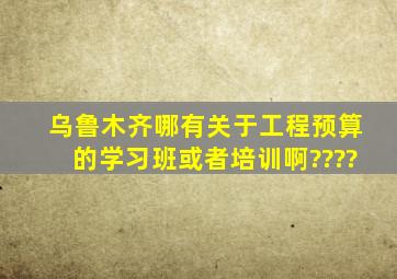 乌鲁木齐哪有关于工程预算的学习班或者培训啊????