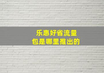 乐惠好省流量包是哪里推出的