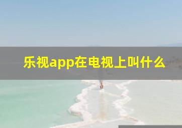 乐视app在电视上叫什么