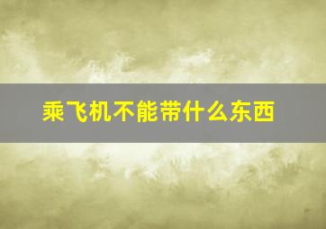 乘飞机不能带什么东西