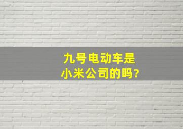 九号电动车是小米公司的吗?