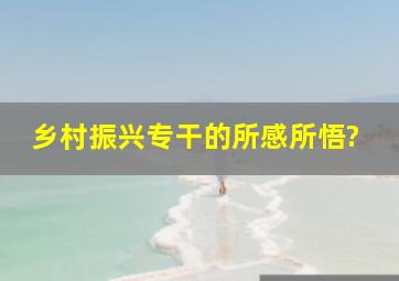 乡村振兴专干的所感所悟?