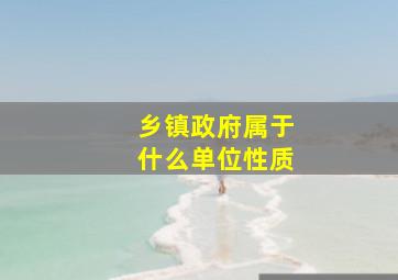 乡镇政府属于什么单位性质