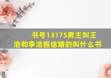 书号13175,男主叫王浩和李洁假结婚的叫什么书