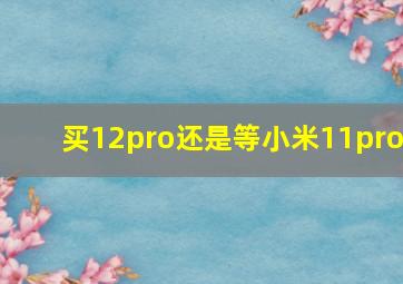 买12pro还是等小米11pro(