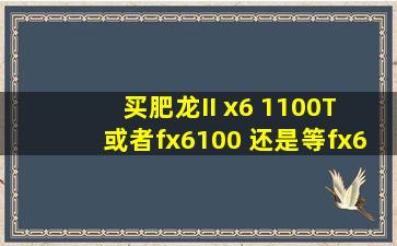 买肥龙II x6 1100T 或者fx6100 还是等fx6200?