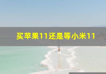 买苹果11还是等小米11