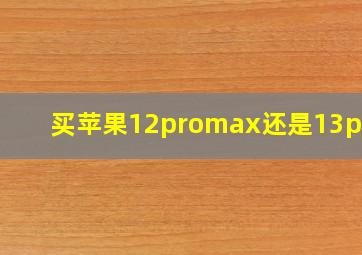 买苹果12promax还是13pro?