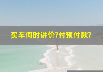 买车何时讲价?付预付款?