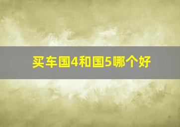 买车国4和国5哪个好