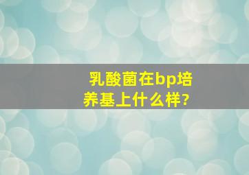 乳酸菌在bp培养基上什么样?