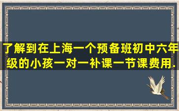 了解到在上海一个预备班(初中六年级)的小孩一对一补课一节课费用...