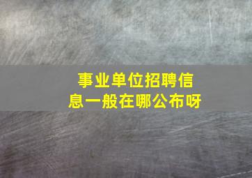 事业单位招聘信息一般在哪公布呀。