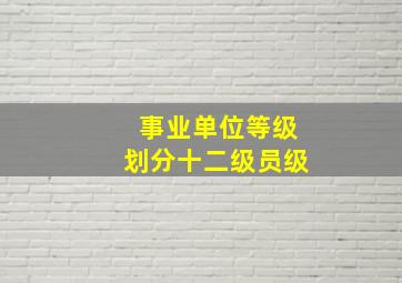 事业单位等级划分十二级员级