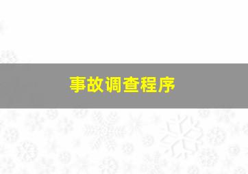 事故调查程序(