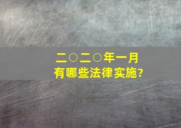 二○二○年一月有哪些法律实施?