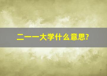 二一一大学什么意思?