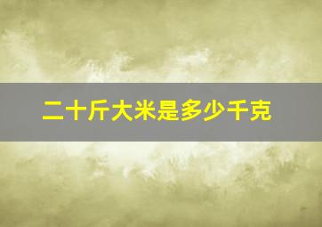 二十斤大米是多少千克