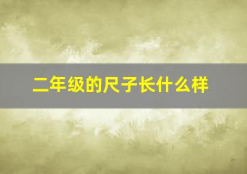 二年级的尺子长什么样