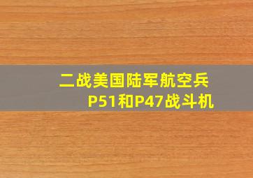 二战美国陆军航空兵P51和P47战斗机