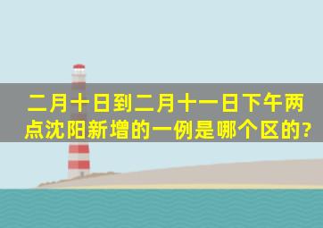 二月十日到二月十一日下午两点沈阳新增的一例是哪个区的?