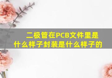 二极管在PCB文件里是什么样子封装是什么样子的