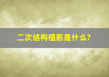 二次结构植筋是什么?