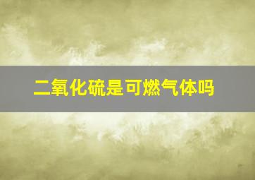 二氧化硫是可燃气体吗