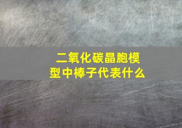 二氧化碳晶胞模型中棒子代表什么